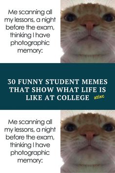 two pictures with the same caption for each cat's face, and one has an image on it