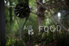 an air is food sign in the woods