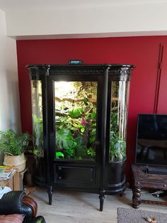 a living room filled with furniture and plants