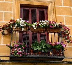 a balcony with potted plants and flowers on the balconies, along with an open window