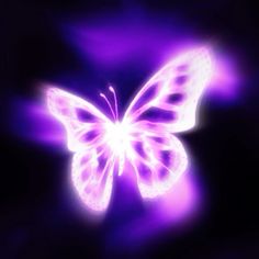 a purple butterfly flying through the air