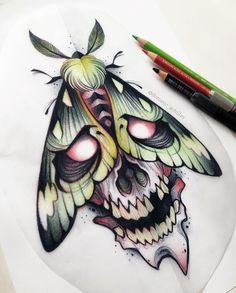 a drawing of a moth on top of a piece of paper with colored pencils next to it