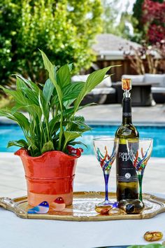 a bottle of wine sitting on top of a table next to a potted plant