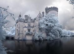 an old castle sitting on top of a lake surrounded by trees and bushes covered in snow