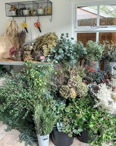 many potted plants are sitting on the table