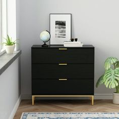 a black chest of drawers in a room with a blue rug and potted plant