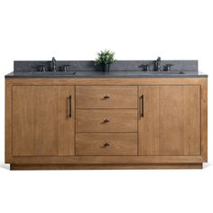 a bathroom vanity with two sinks and a potted plant on the counter top, against a white background