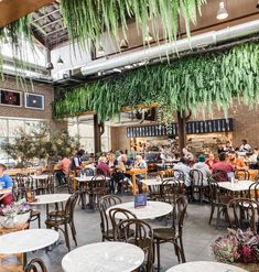 people are sitting at tables and eating in the dining room with plants hanging from the ceiling