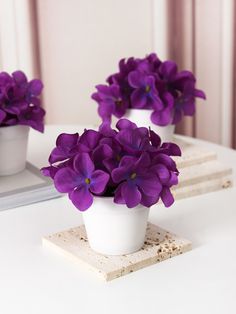 purple flowers are in white pots on a table