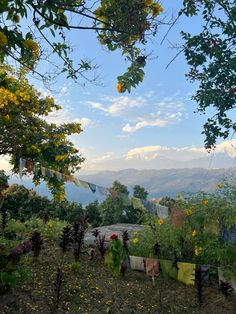 an outdoor area with lots of plants and flowers in the foreground, mountains in the distance