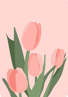 pink tulips in a vase with green leaves on a light pink background illustration