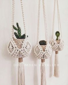 three macrame planters with plants in them are hanging on a white wall