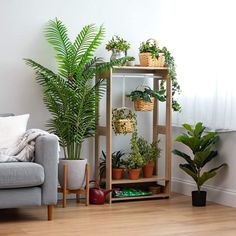 a living room with potted plants and a couch in the corner next to it