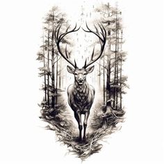 an ink drawing of a deer in the woods