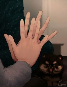 a person's hand reaching out towards a cat