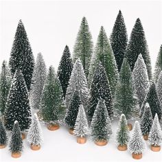 small christmas trees are lined up in front of each other with snow on the tops