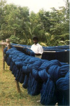 a man standing next to blue ropes in the grass