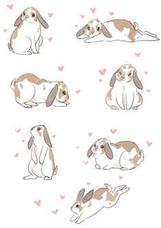 some rabbits are sitting in the middle of hearts on a white background with brown spots