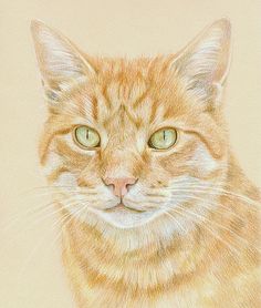 an orange and white cat with green eyes looking at the camera while standing in front of a beige background