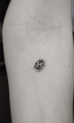 a ladybug tattoo on the left thigh