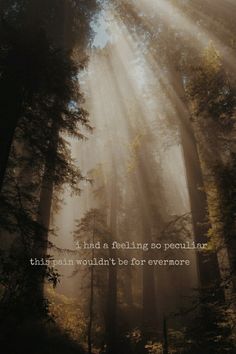 sunlight shining through the trees in a forest with a quote on it that reads, i had a feeling so peculiar that would't be for everyone