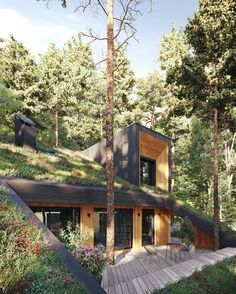 an artist's rendering of a house in the woods with green roof and stairs leading up to it