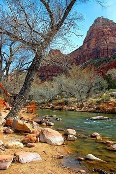 a river running through a lush green forest filled with lots of rocks next to a mountain