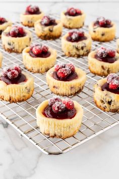 mini berry cheesecakes on a cooling rack with fresh raspberry toppings