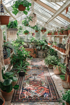 a room filled with lots of potted plants next to a long rug on the floor