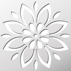 a white flower on a gray background