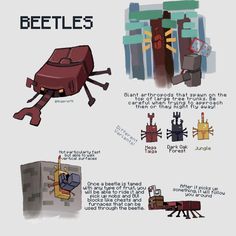 an info sheet describing the different types of beets and how they are used to build them