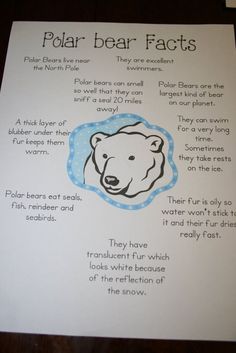 a polar bear fact sheet on a table