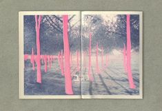 an open book with pink tape sticking out of it's pages and trees in the background