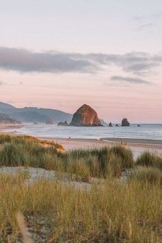 the beach has grass and sand on it