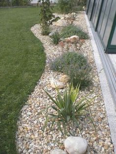 a garden with rocks and plants next to a window on the side of a house