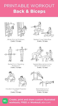 the printable workout guide for back and biceps