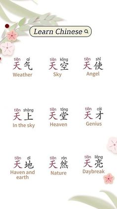 an image of chinese characters with flowers in the foreground and on the upper right hand corner