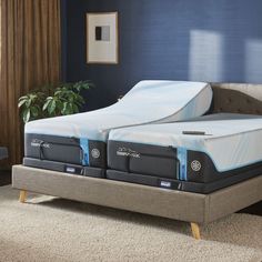 two mattresses sitting on top of each other in a room with blue walls and carpet