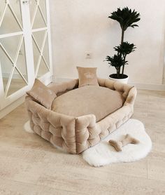 a dog bed in the middle of a room with a potted plant on top