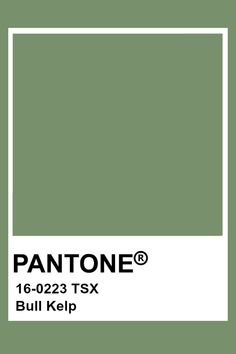 the pantone color is green and has a white square on it, with an inscription that