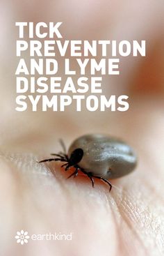 Tick prevention can be complicated. Ticks are sly, cunning little critters that are determined to wedge themselves inside the first warm-blooded host they cross paths with. If it sounds like they’re on the hunt for you, it’s because they are. #mosquitoes #ticks #safety #hiking #camping #lyme Prevent Mosquito Bites, Best Mosquito Repellent, Tick Bite, Tick Repellent, Sick Remedies, Kids Lunches, Tick Prevention, Disease Symptoms, Mosquito Bite