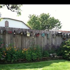 a wooden fence with birdhouses on it and flowers growing in the yard next to it