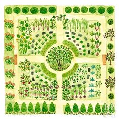 a drawing of a garden with lots of trees and plants on it's sides