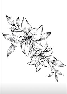 a black and white drawing of flowers