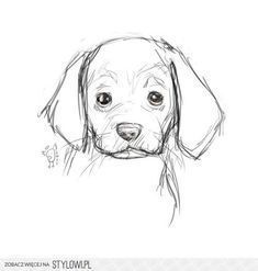 a drawing of a dog's face with one eye open and the other half closed