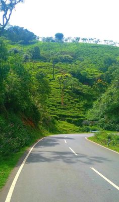 an empty road in the middle of a lush green hill side with trees on both sides