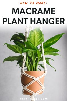 a potted plant with the words how to make macrame plant hanger