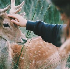 a young boy petting the head of a deer