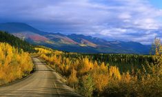 a dirt road surrounded by trees with mountains in the backgrouds and cloudy skies