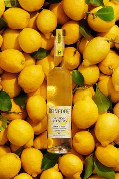 a bottle of belvedre organic spirits surrounded by lemons